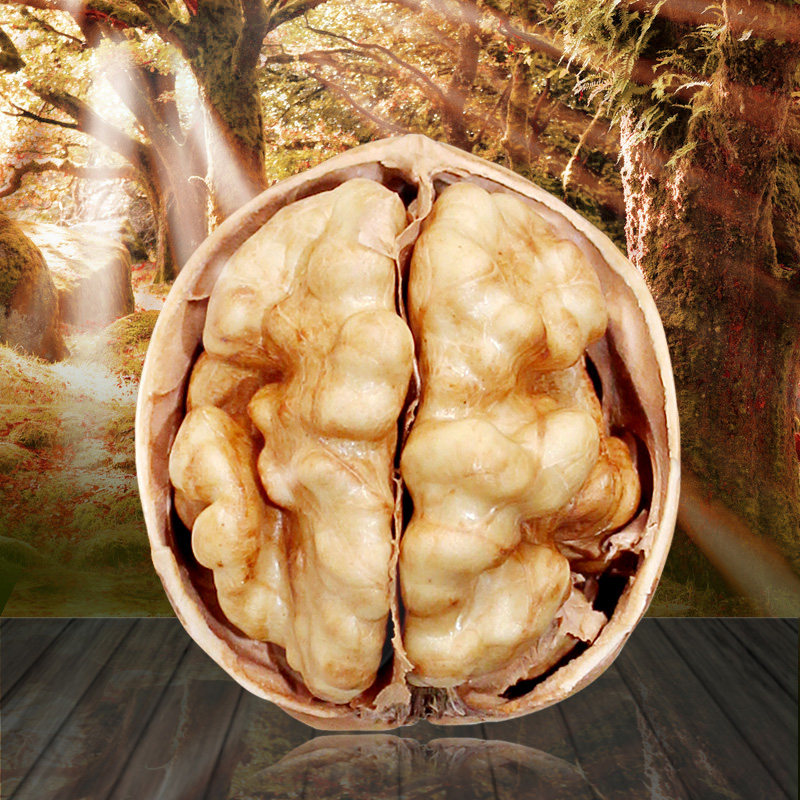 包邮 博士果新货特价薄皮大核桃生核桃 新疆核桃非纸皮500g