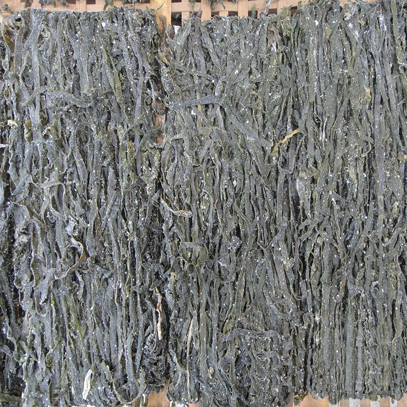天然日晒海带丝 渔家采割野生海带晒制干货无添加150g南澳特产|msdalam kategori daging perikanan/Buah-buahan segar dan sayur-sayuran/dimasak, makanan laut/produk akuatik/produk, alga, Kelp - dari Buy2taobao.com untuk memberikan perkhidmatan ejen Taobao profesional membeli