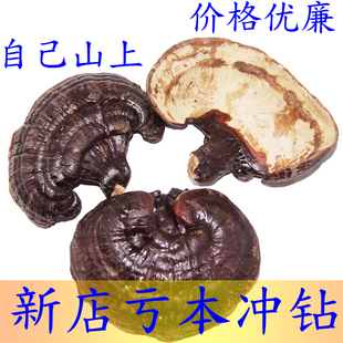  长白山半野生紫灵芝|特级精选正品|50克左右|4.3元每个|3月新货