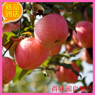  20斤苹果酒酿酒辅料包 优惠多多