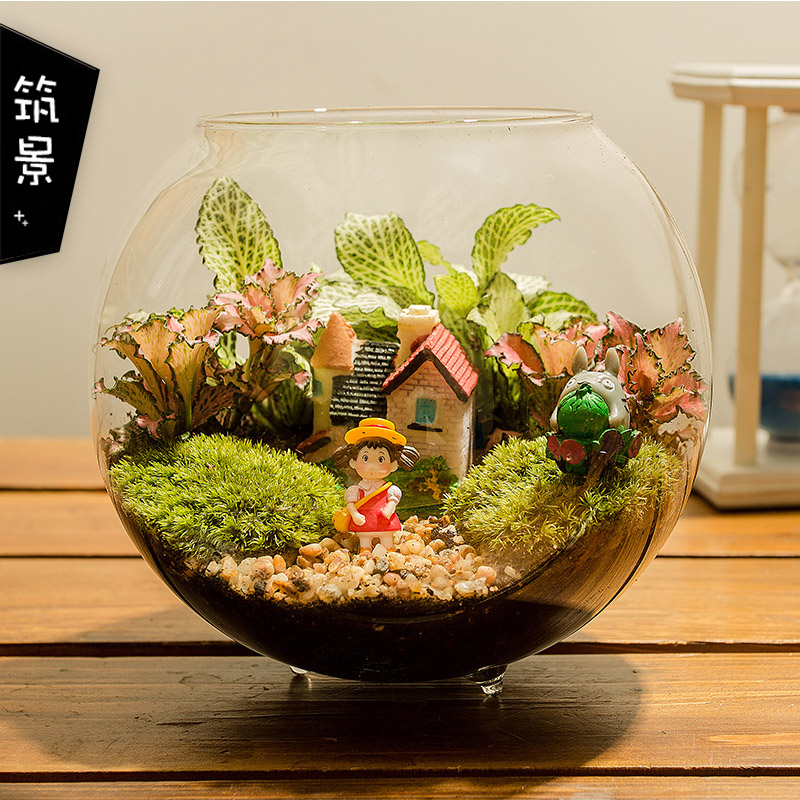 moss and lichen Micro Landscape Potted Plants Totoro Decoration diy Office desktop Potted plant Scenery Green plant giftin the Flower delivery/Flowers simulation/Plants gardening , Creative mini-plant  category - from Buy2taobao.com to provide professional Taobao agent buy service