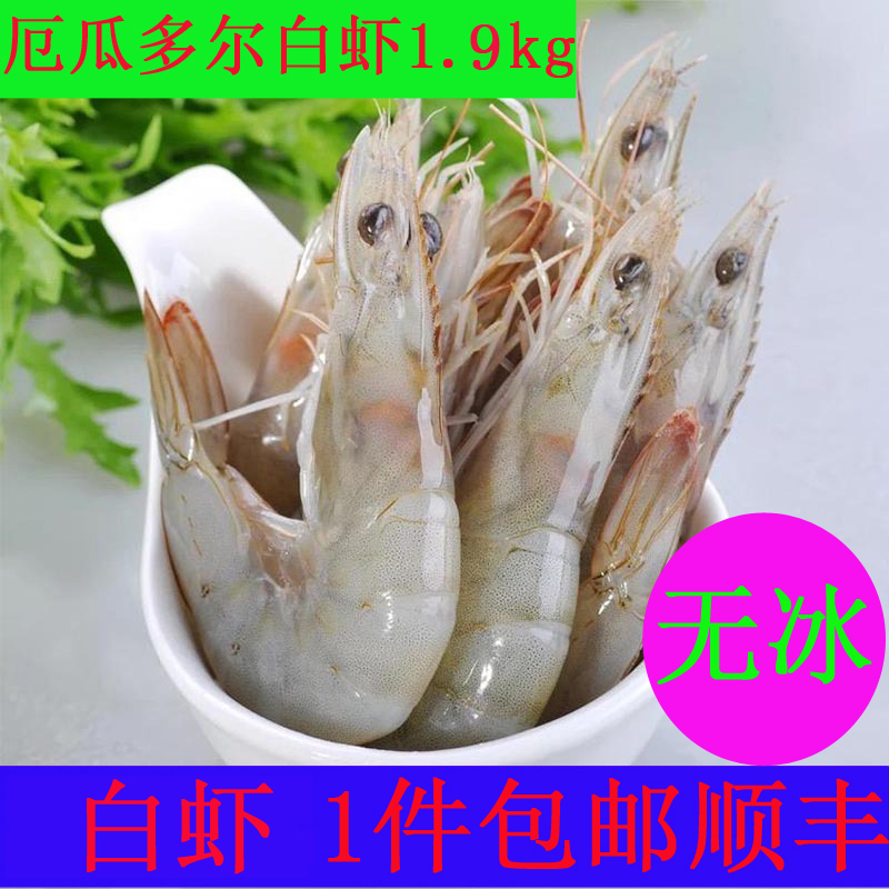 1 pieces without ice Ecuador White shrimp 1.9kg Imported seafood 40/50 Specifications Live freezein the Aquatic meat/Fresh fruits and vegetables/Cooked , Seafood/Aquatic/Product , Shrimp , Shrimps category - from Buy2taobao.com to provide professional Taobao agent buy service
