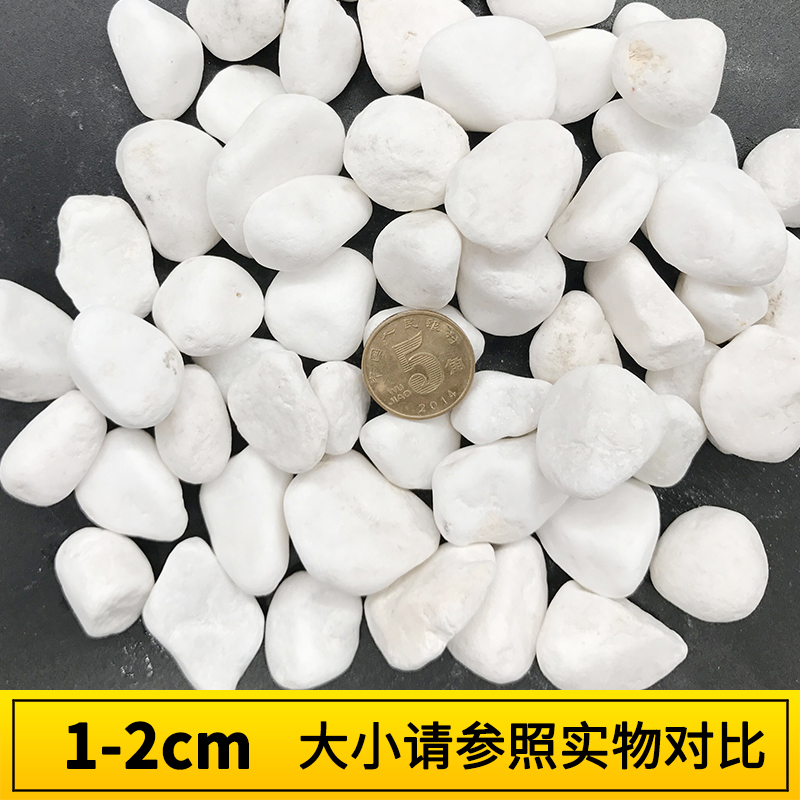 铺路石水景白沙子装饰石大颗粒宾馆花园小石子庭院白色办公楼多肉在类目 鲜花速递/花卉仿真/绿植园艺, 园艺用品, 其它园艺用品中 - 来自Buy2taobao.com提供专业的淘宝代购服务