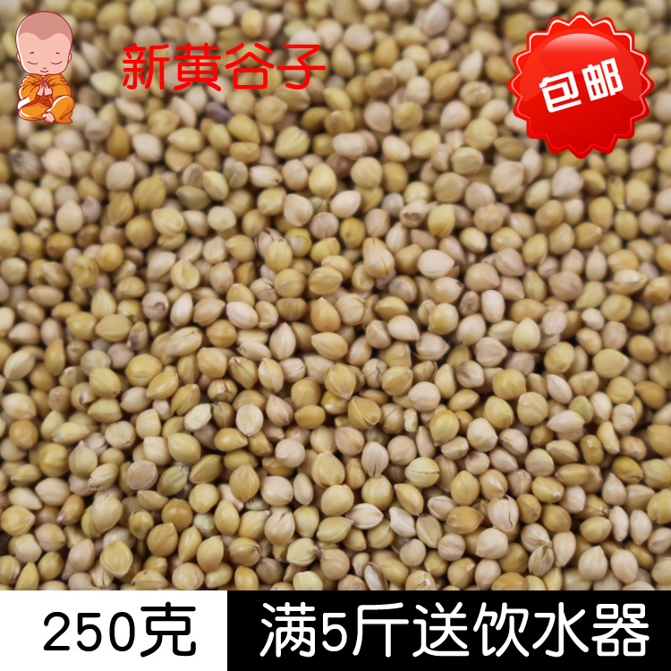 虎皮牡丹玄风鹦鹉饲料黄谷子带壳小米鹦鹉鸟食鸟粮250g满5斤包邮在类目 宠物/宠物食品及用品, 鸟类及用品, 鸟食中 - 来自Buy2taobao.com提供专业的淘宝代购服务