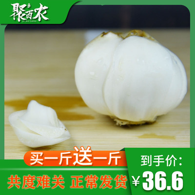 500g小四头包邮助农兰州百合甜新鲜食用能量正宗精品真空包装新款