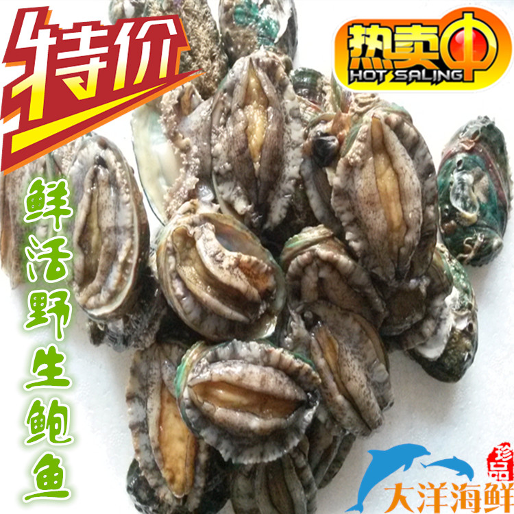 青岛港 野生 鲜活小鲍鱼鲍鱼仔30g每只 江浙沪鲁20只包邮在类目 水产肉类/新鲜蔬果/熟食, 海鲜/水产品/制品, 其它中 - 来自Buy2taobao.com提供专业的淘宝代购服务