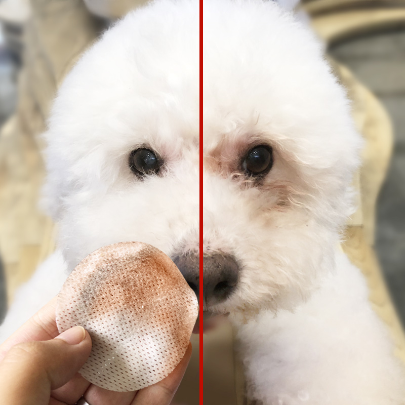 Pets Tears Wet wipes Teddy Bichon Hiromi Kitty Eye clean tissue Pet Supplies 100 slicein the Pet/Pet food and supplies , Cat/Dog grooming cleaning supplies , Eye Clean category - from Buy2taobao.com to provide professional Taobao agent buy service
