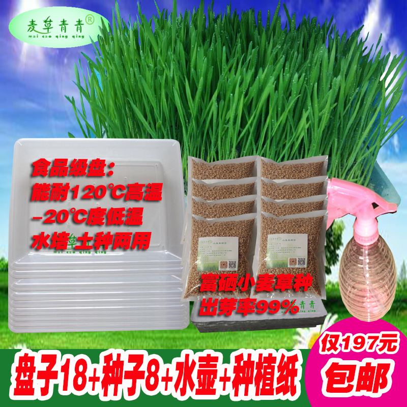 麦草青青富硒小麦草种子育苗盘套餐阳台纸上种菜四季播种新种包邮在类目 鲜花速递/花卉仿真/绿植园艺, 园艺用品, 育苗盘/营养钵中 - 来自Buy2taobao.com提供专业的淘宝代购服务