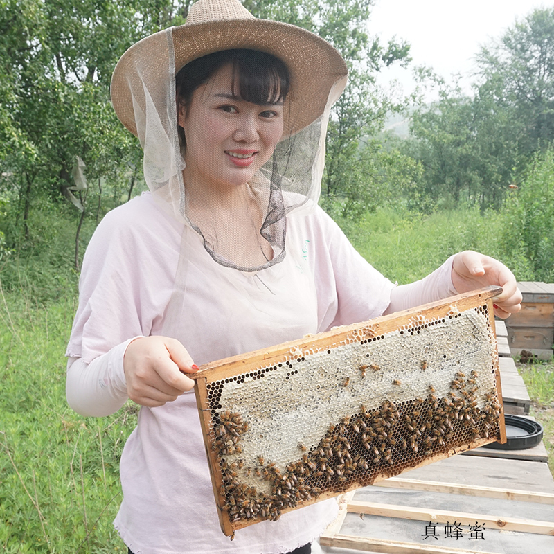 2019槐花蜜 正宗陝西 槐花蜜3斤水白色槐花蜜 新蜜蜂蜜純正自産蜜在類目 傳統滋補營養品, 蜂蜜中 - 來自Buy2taobao.com提供專業的淘寶代購服務