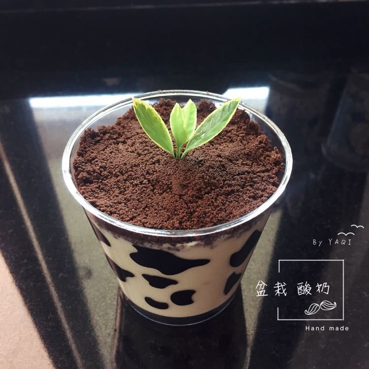 Hard plastic Dairy cow Mousse Cup milk Sawdust Cup Tiramisu Ice cream cup Yogurt cups With cover Optionalin the Kitchen/Cooking utensils , Barbecue/Bakeware , Baking DIY Appliance , Other baking utensils category - from Buy2taobao.com to provide professional Taobao agent buy service
