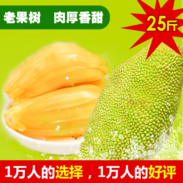23-25斤當天發海南黃肉菠蘿蜜新鮮水果波羅蜜木菠蘿蜜40批發包郵在類目 水產肉類/新鮮蔬果/熟食, 新鮮水果, 其它中 - 來自Buy2taobao.com提供專業的淘寶代購服務