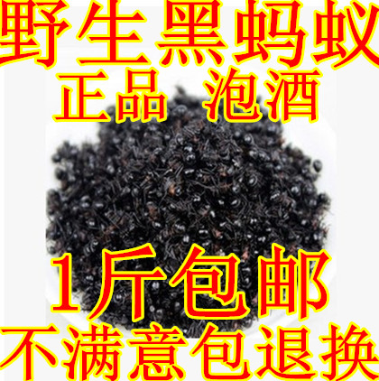 中药材批 发东北野生黑蚂蚁干大蚂蚁土特产山蚁500克包邮|ruв категории традиционные питательный пища, гомологический продовольствия, медикаментов и продовольствия, муравей - от Buy2taobao.com для оказания профессиональной услуги покупки агента Taobao