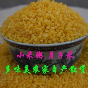 新特级小米 小黄米 黄小米 500g 安神养胃 多味美五谷杂粮