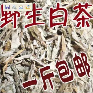  云南特产 野生白茶生态茶清热茶 乞丐茶 产地直销 满一斤包邮