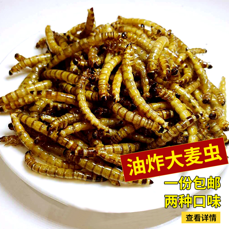 Fried Barley Bug Spicy Golden Worm Crispy Edible insect Specialties A 80 gramin the Pet/Pet food and supplies , Reptile/Insects and supplies Ming , Reptile/Ming insect food category - from Buy2taobao.com to provide professional Taobao agent buy service