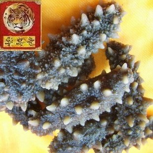  大连海参野生淡干海参/辽刺参3.6-4.2厘米260-320只/斤