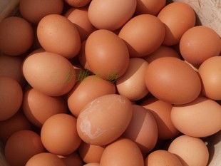  崇明特产/农家正宗散养草鸡蛋/鸡蛋/特价1.95!