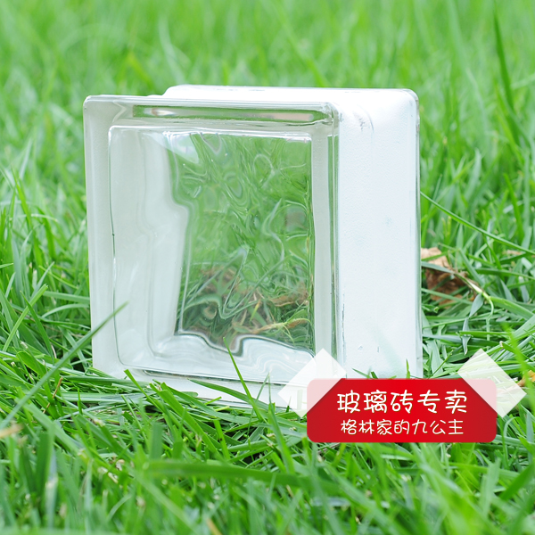 145*145*80mm云雾纹玻璃砖/上海玻璃砖 海威玻璃砖 玻璃砖 现货在类目 基础建材, 玻璃, 玻璃砖中 - 来自Buy2taobao.com提供专业的淘宝代购服务