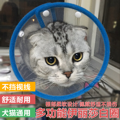 伊丽莎白圈狗猫咪项圈猫项圈防咬防抓皮肤病头套防挠耻辱圈防舔罩