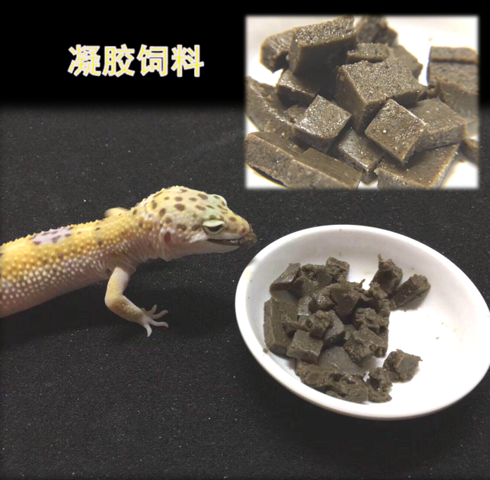 汉堡蓝舌豹纹守宫粮鬃狮巨蜥蜴蛙龟饲料粉凝胶膏状美国R牌瑞佩西|ruв категории животное/Животное питание и принадлежностей, рептилии/насекомых и принадлежностей, рептилии/насекомых питание - от Buy2taobao.com для оказания профессиональной услуги покупки агента Taobao
