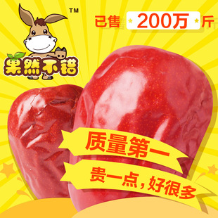  新疆红枣特产和田大枣 和田枣玉枣五星新疆玉枣子 买三赠一 包邮