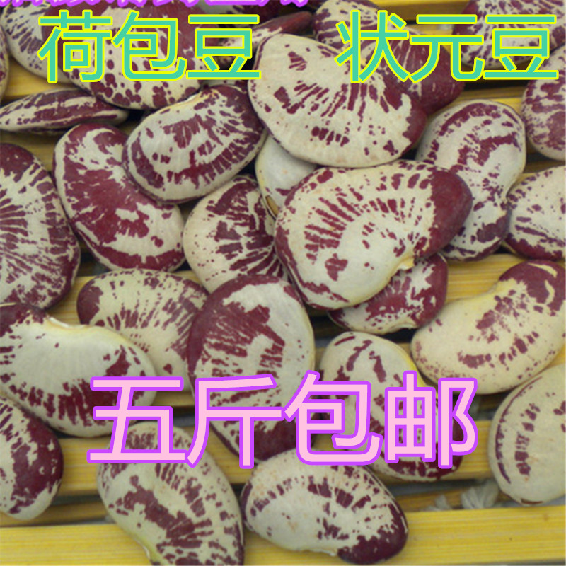 優質雲南大顆粒斑馬豆 荷包豆 腎豆 狀元豆大花豆 粉糯500g在類目 糧油米麪/南北乾貨/調味品, 米/麪粉/雜糧, 豆類, 其它中 - 來自Buy2taobao.com提供專業的淘寶代購服務