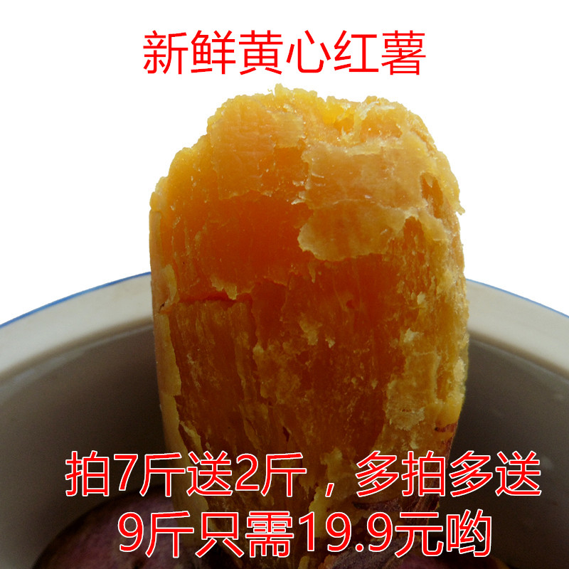 新鲜红皮黄心红薯烤红薯甜番薯地瓜潼南沙地红苕红心山芋7斤送2斤|msdalam kategori daging perikanan/Buah-buahan segar dan sayur-sayuran/dimasak, sayur-sayuran segar/Vegetable Products, sayur-sayuran segar, ubi keledek - dari Buy2taobao.com untuk memberikan perkhidmatan ejen Taobao profesional membeli