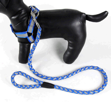 宠物狗狗中小型犬夜行反光牵引带套装狗链加狗