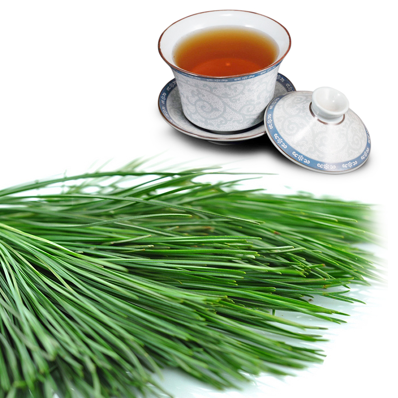 长白山红松针马尾松针野生松针酵素 松针茶 全