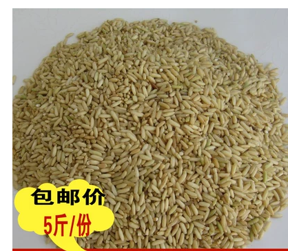 客家糙糯米新米农家冬糯糯米月子酒糯米甜酒醪糟杂粮5斤包邮在类目 粮油米面/南北干货/调味品, 米/面粉/杂粮, 米类, 糯米中 - 来自Buy2taobao.com提供专业的淘宝代购服务