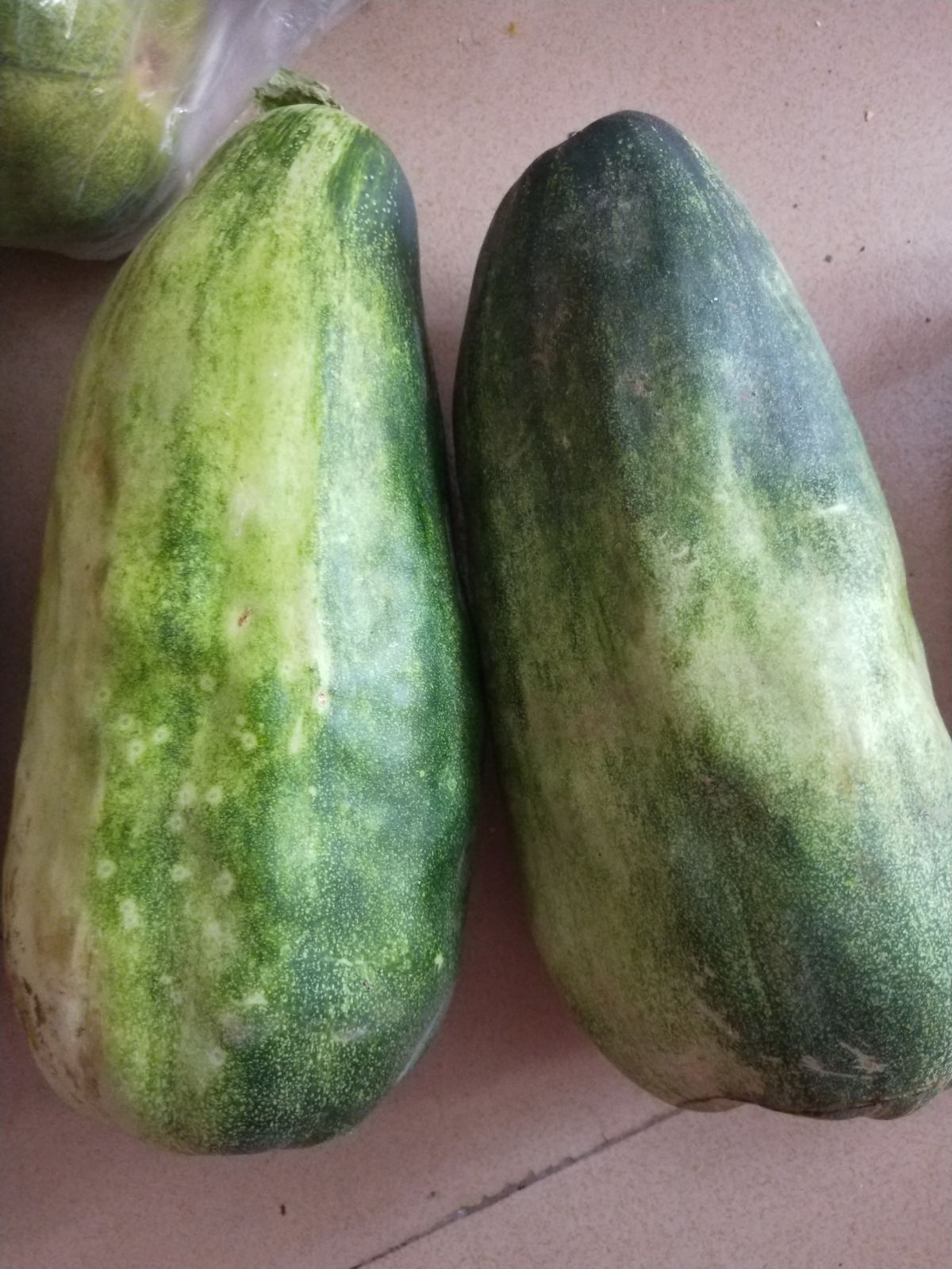6月下旬发货菜瓜包邮湖南特产水果沅江赤山本地梨瓜香瓜菜瓜现摘|msdalam kategori daging perikanan/Buah-buahan segar dan sayur-sayuran/dimasak, buah-buahan segar, lain - dari Buy2taobao.com untuk memberikan perkhidmatan ejen Taobao profesional membeli