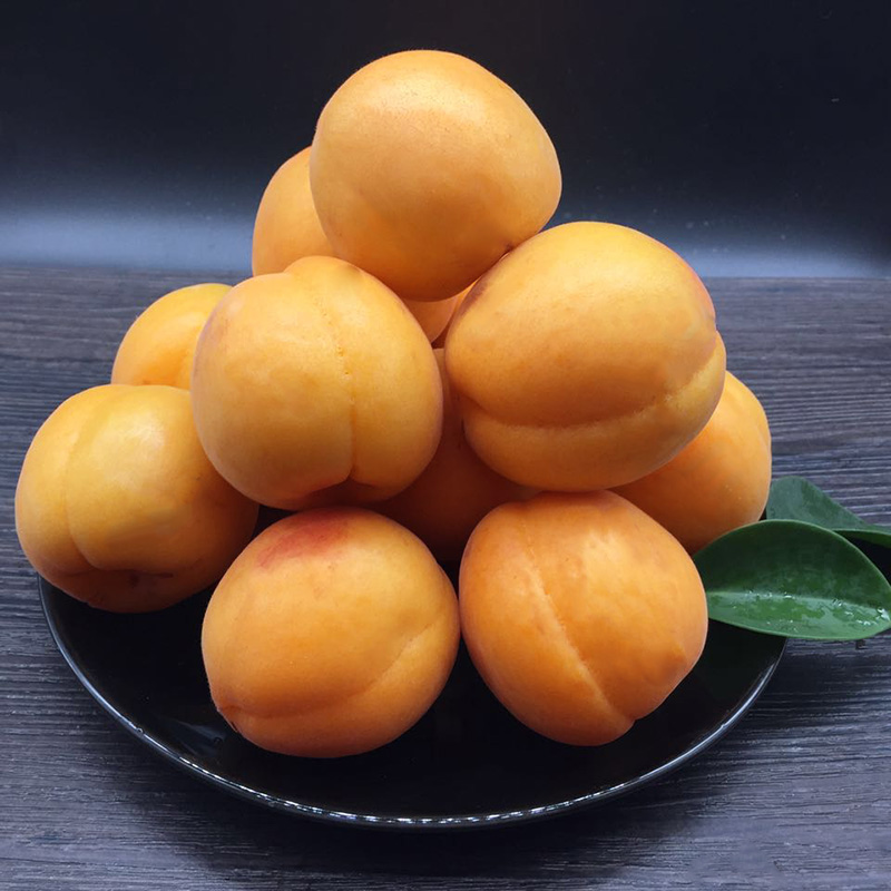goods in stock Shaanxi Golden Sun Red 4 Royal fresh Apricots Dragon Boat Festival apricotin the Aquatic meat/Fresh fruits and vegetables/Cooked , Fresh fruit , Other category - from Buy2taobao.com to provide professional Taobao agent buy service
