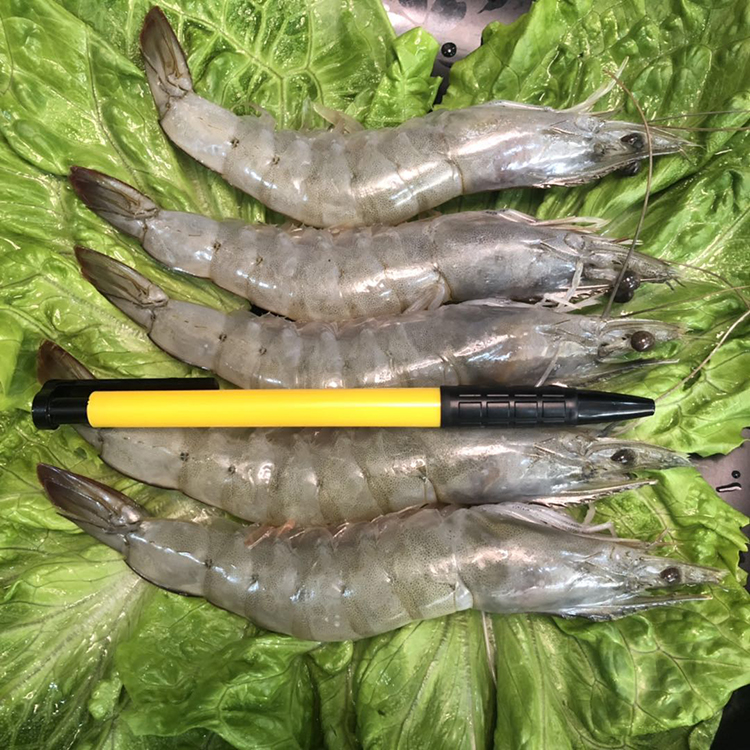二侠海鲜  118元1盒海洋对虾在类目 水产肉类/新鲜蔬果/熟食, 海鲜/水产品/制品, 虾类, 冻虾中 - 来自Buy2taobao.com提供专业的淘宝代购服务