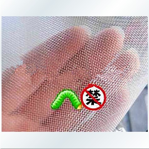 【綠陽園藝】【高密度花盆底墊網 防蟲網】 防盆底漏土 防蟲在類目 農機/農具/農膜, 農膜/篷布/遮網/大棚, 農用薄膜中 - 來自Buy2taobao.com提供專業的淘寶代購服務