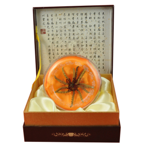  骏华天宝玉树冬虫夏草批发正品3条/克 青海虫草同仁堂级5g礼盒装
