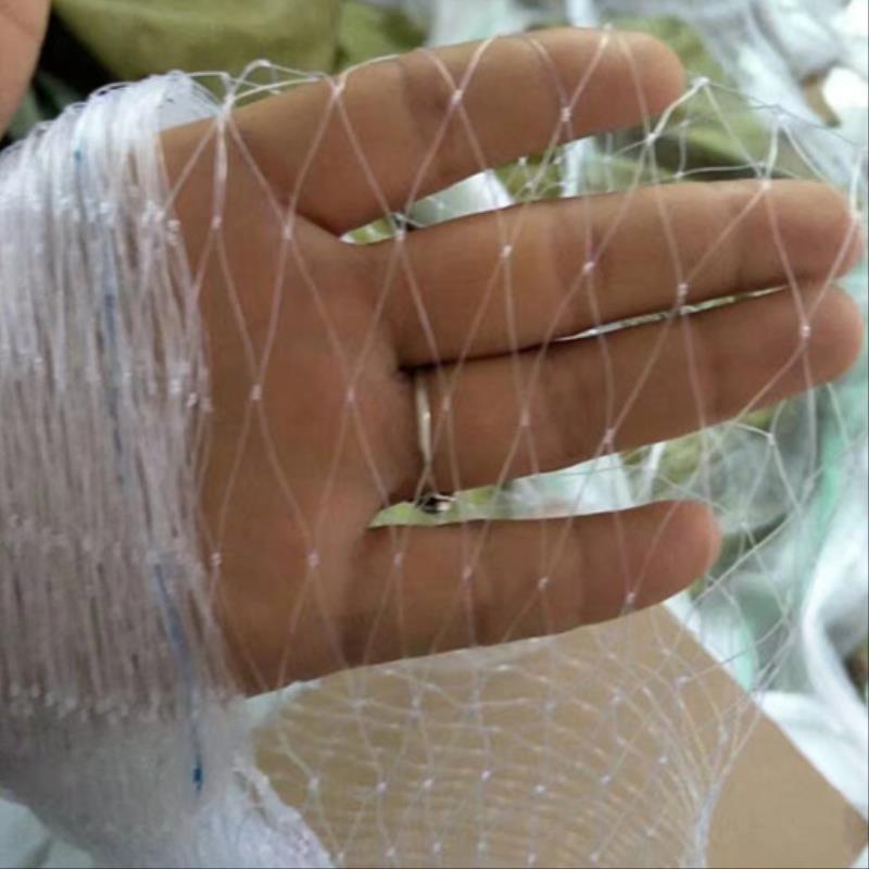 养殖网农用蔬菜防鸟害用菜园用果树拦鸟网防鸟神器新款菜园拦鸟网在类目 鲜花速递/花卉仿真/绿植园艺, 园艺用品, 其它园艺用品中 - 来自Buy2taobao.com提供专业的淘宝代购服务