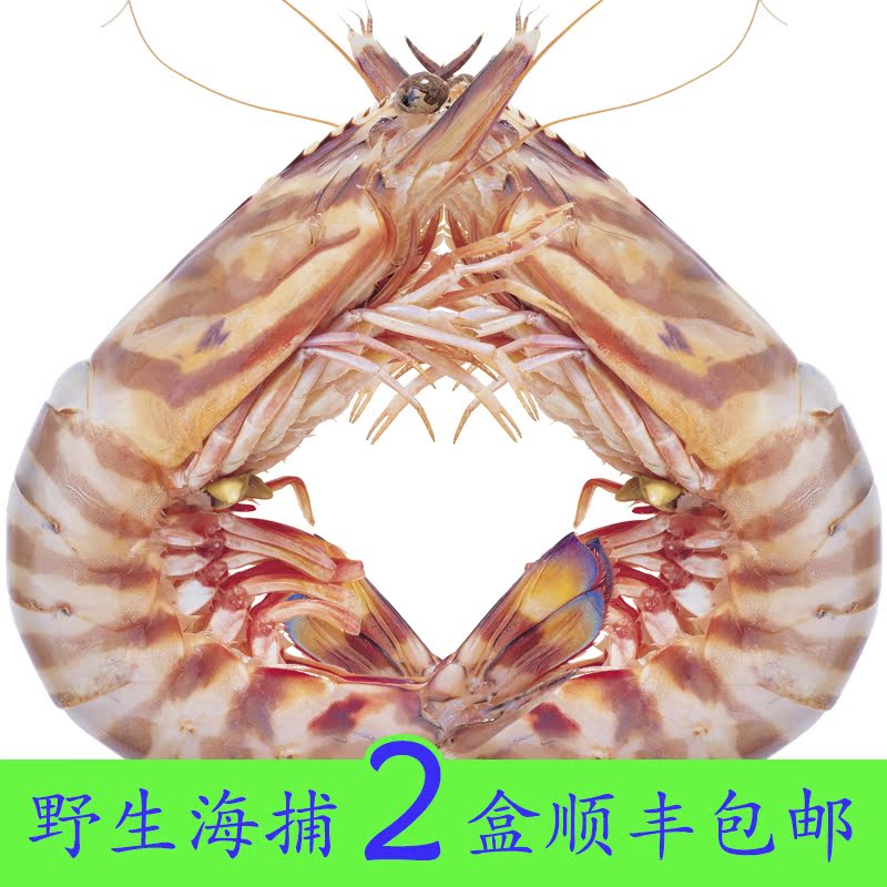 斑节虾竹节虾野生海捕大对虾 鲜活冷冻海老大虾3只盒装红明虾礼品在类目 水产肉类/新鲜蔬果/熟食, 海鲜/水产品/制品, 虾类, 冻虾中 - 来自Buy2taobao.com提供专业的淘宝代购服务