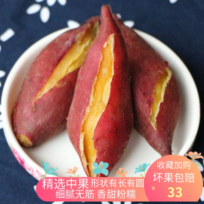 Linan Mount Hong potato Fragrant and sweet fresh Small sweet potato Sweet potato Chinese chestnut Sweet potato Potatoin the Aquatic meat/Fresh fruits and vegetables/Cooked , Fresh vegetables/Vegetable products , Fresh vegetables , Sweet potato category - from Buy2taobao.com to provide professional Taobao agent buy service