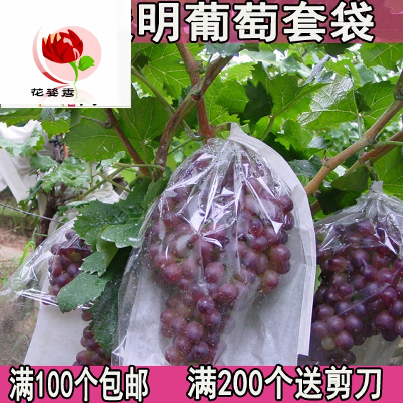 半透明葡萄专用套袋葡萄包装袋葡萄智能纸袋防雨水防虫袋莲雾套袋|ruв категории доставка цветов/цветок моделирования/растения садоводства, садовых принадлежностей, других садовых принадлежностей - от Buy2taobao.com для оказания профессиональной услуги покупки агента Taobao