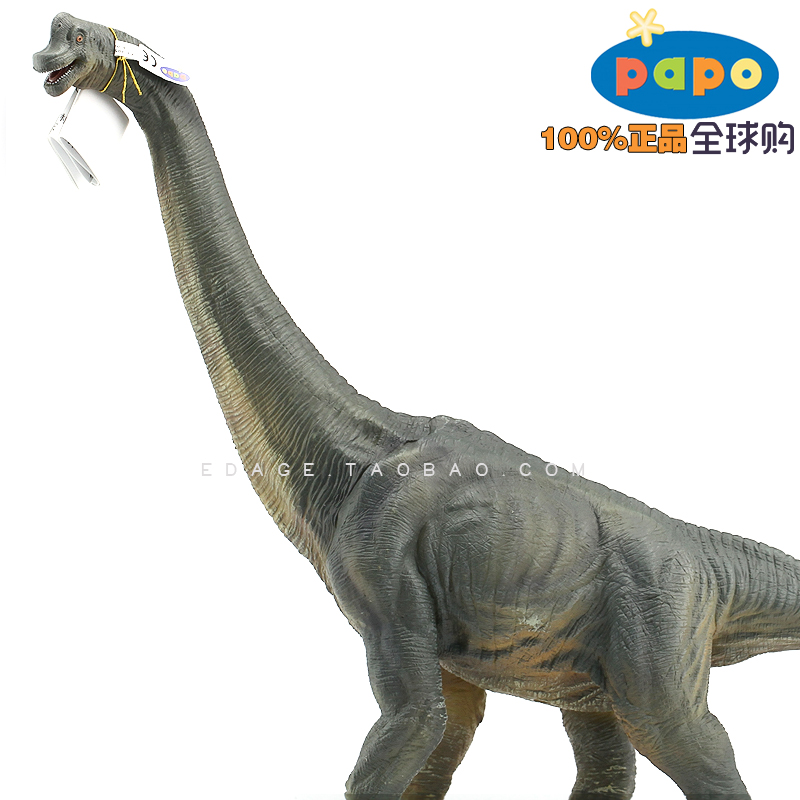 法国PAPO正品仿真恐龙动物模型玩具侏罗纪男孩55030波塞冬腕龙|ruв категории игрушка/коляска/головоломка/блоки/модель, моделирование/играть в игрушки, моделирование/животных, куклы - от Buy2taobao.com для оказания профессиональной услуги покупки агента Taobao