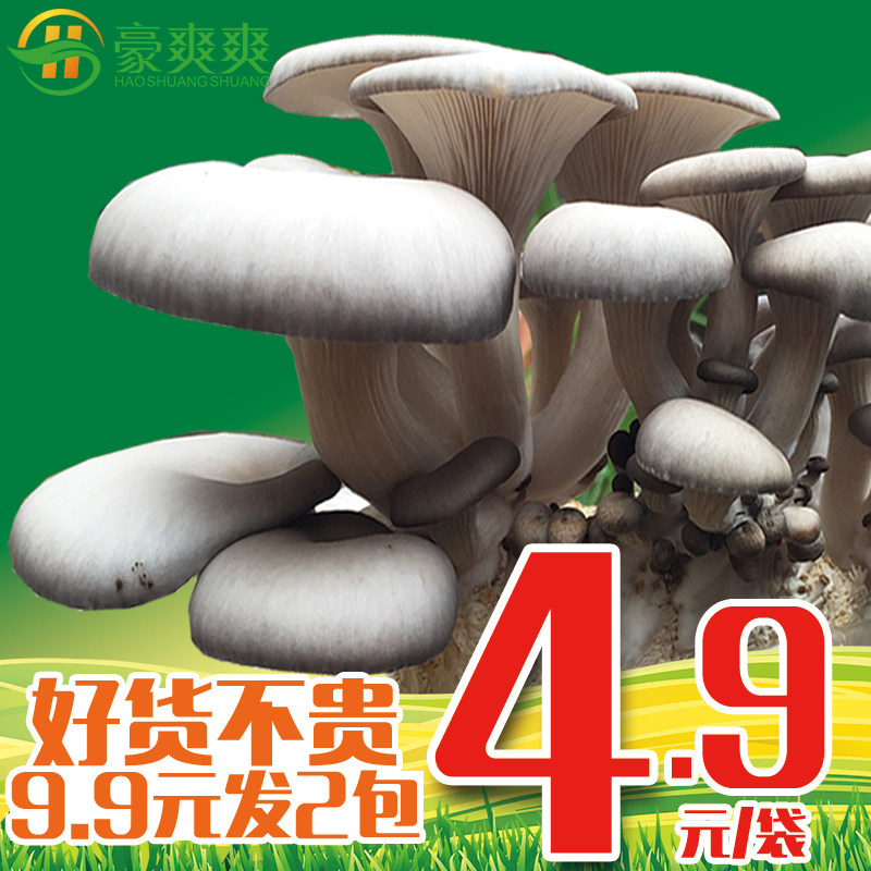 【9.9元发2个】豪爽爽蘑菇菌包香菇平菇食用菌棒蘑菇种植菌种子