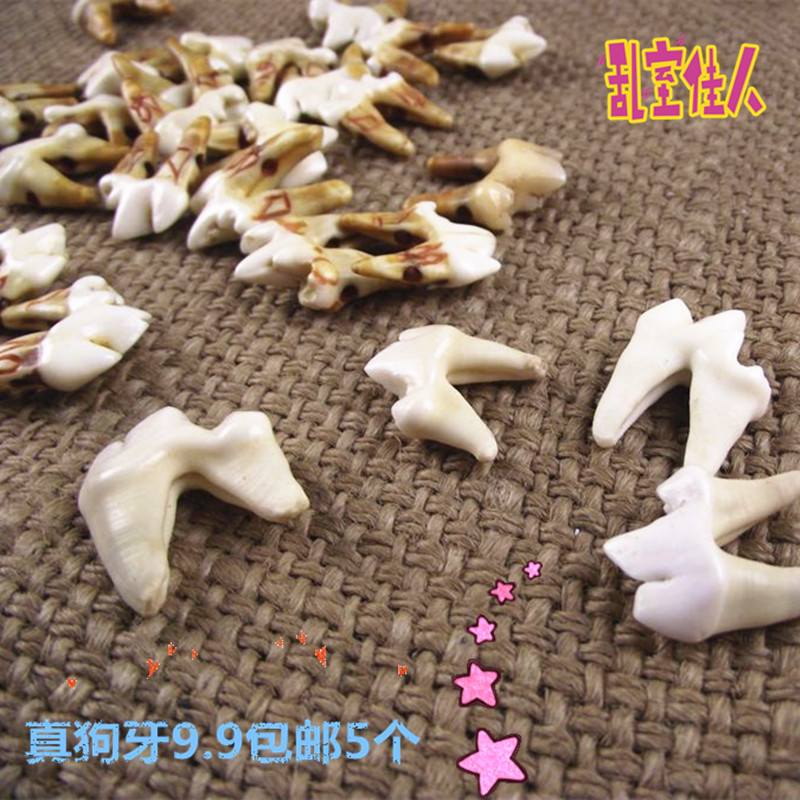 狗牙吊坠双根牙大牙 藏獒牙/狼牙项链骨质狗牙齿男女转运压惊漂白|ruв категории Украшения,ювелирные изделия, кулон/кулон - от Buy2taobao.com для оказания профессиональной услуги покупки агента Taobao