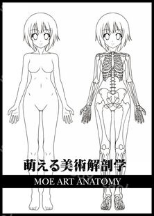 日漫结构解剖设计资料素描漫画插画手绘人体素