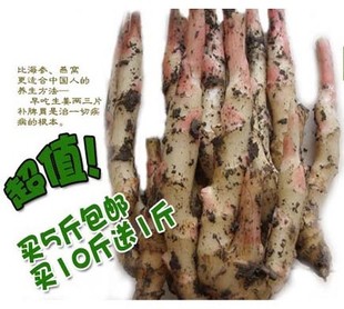  预售 四川特产嫩生姜 农家菜市场绿色有机新鲜蔬菜仔姜 5斤包邮