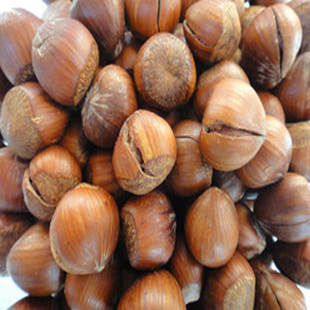  年货坚果零食东北野生榛子125g特价满额包邮