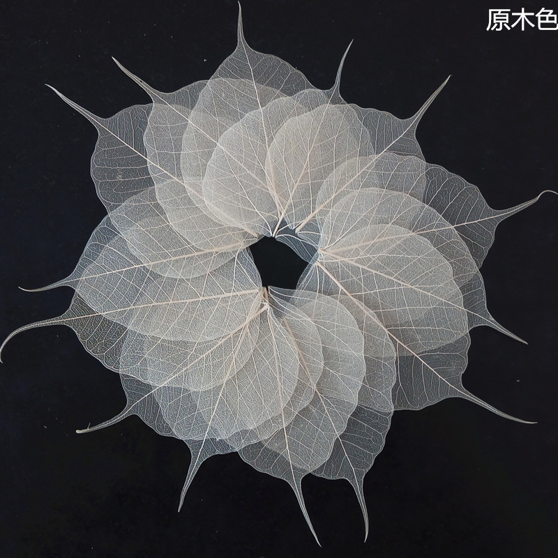 新款天然茶漏菩提叶脉树叶装饰画标本iy书签贺卡押花画拍摄道具在类目 家居饰品, 花瓶/花器/仿真花/仿真饰品, 干花/花瓣/干花包/干树枝中 - 来自Buy2taobao.com提供专业的淘宝代购服务