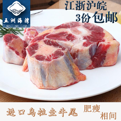 五洲海湾乌拉圭牛尾生鲜牛肉带骨新鲜牛尾巴牛尾骨牛骨头