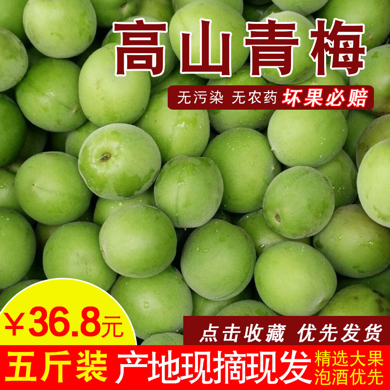 应季水果青梅果 新鲜高山青梅果现摘孕妇青梅鲜果泡酒5斤装在类目 水产肉类/新鲜蔬果/熟食, 新鲜水果, 其它中 - 来自Buy2taobao.com提供专业的淘宝代购服务