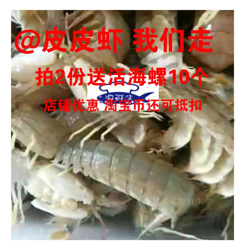Fresh Pipi shrimp Mantis Shrimp 1000 Fresh Shrimp crawling Alive and kicking Pipi shrimp Super large Fresh Jingjinjiin the Aquatic meat/Fresh fruits and vegetables/Cooked , Seafood/Aquatic/Product , Shrimp , Huoxia category - from Buy2taobao.com to provide professional Taobao agent buy service