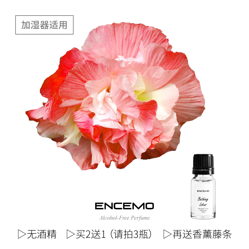 ENCEMO Hibiscus Bloom Potpourri east Sentiment alcohol Perfume hotel Fragrance Water solubility Aromatherapy essential oilin the Care cleaners/Sanitary napkins/Paper/Aromatherapy , Aroma supplies , Aroma Spice category - from Buy2taobao.com to provide professional Taobao agent buy service
